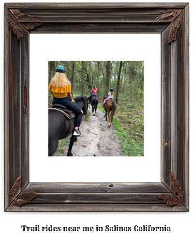 trail rides near me in Salinas, California